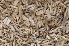 biomass boilers Wheelock